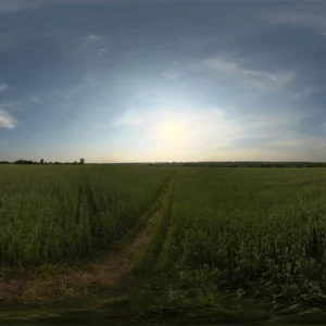 آسمان عصرگاهی با مه پراکنده در مزرعه‌ای در فضای باز