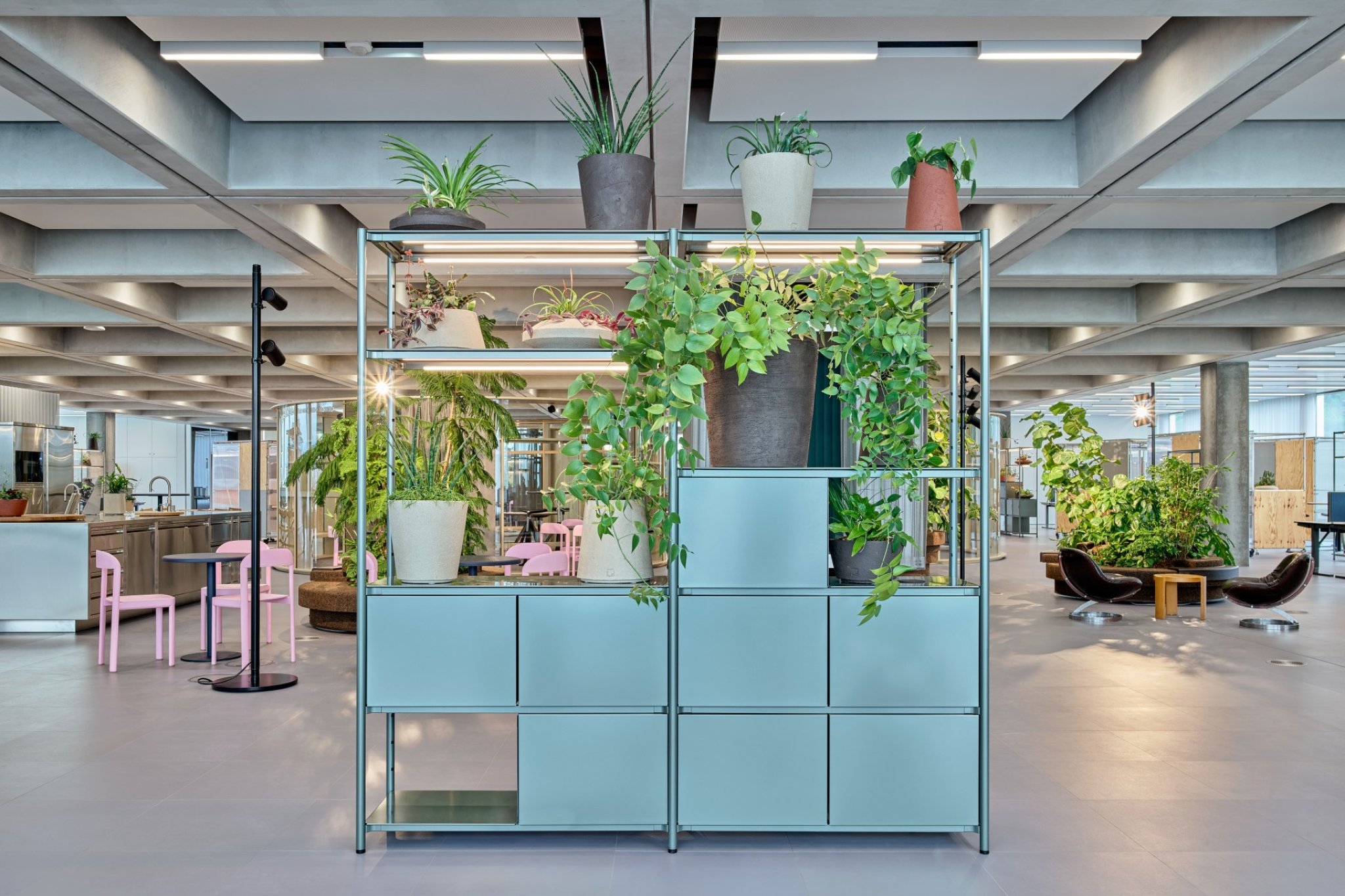 roche-office-visplay