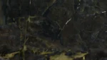 گرانیت Verde Karzai